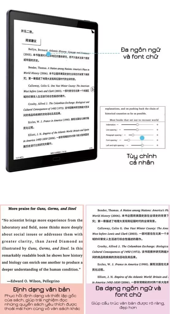 Likebook P10 20