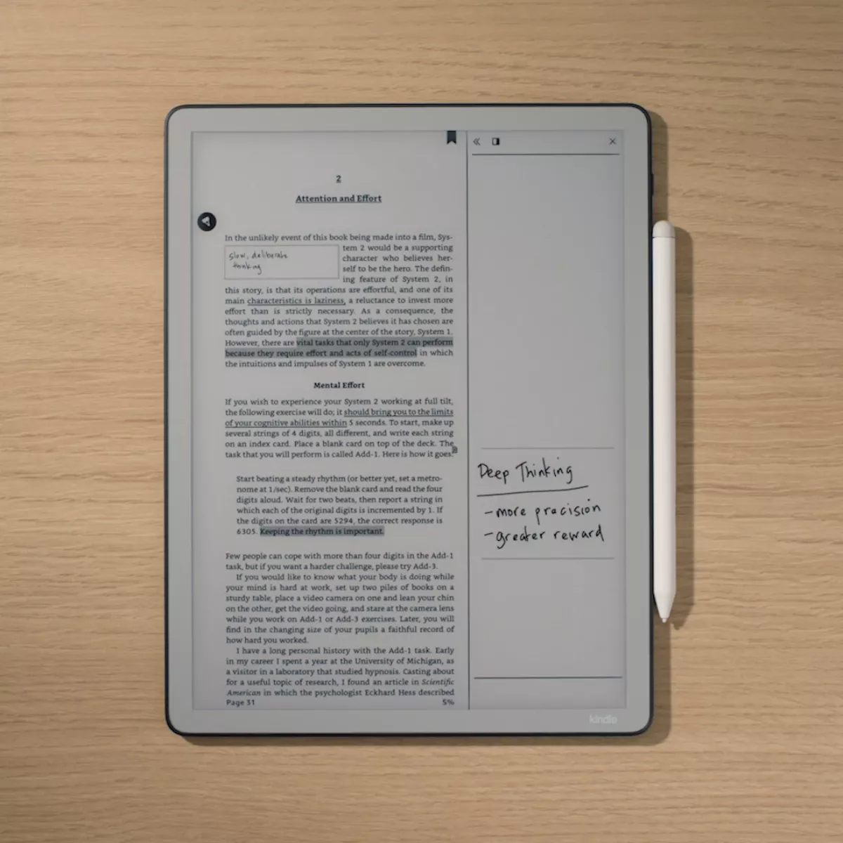 kindlescribe25-0den (7)