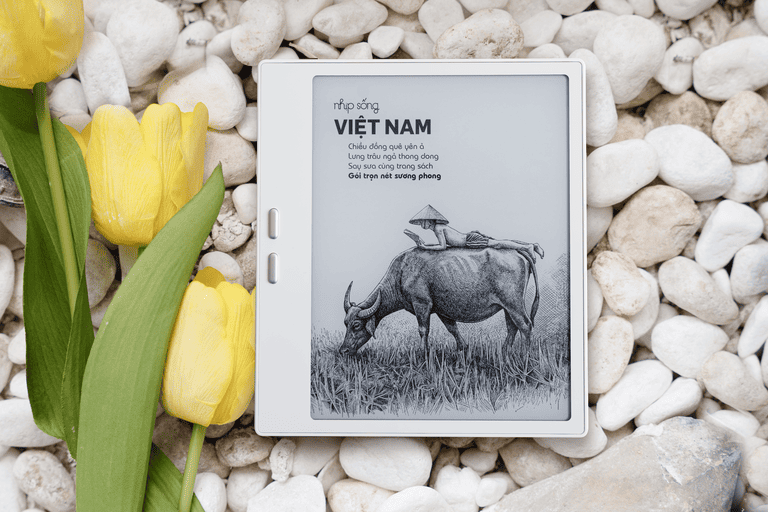 Máy đọc sách Savi 7 10