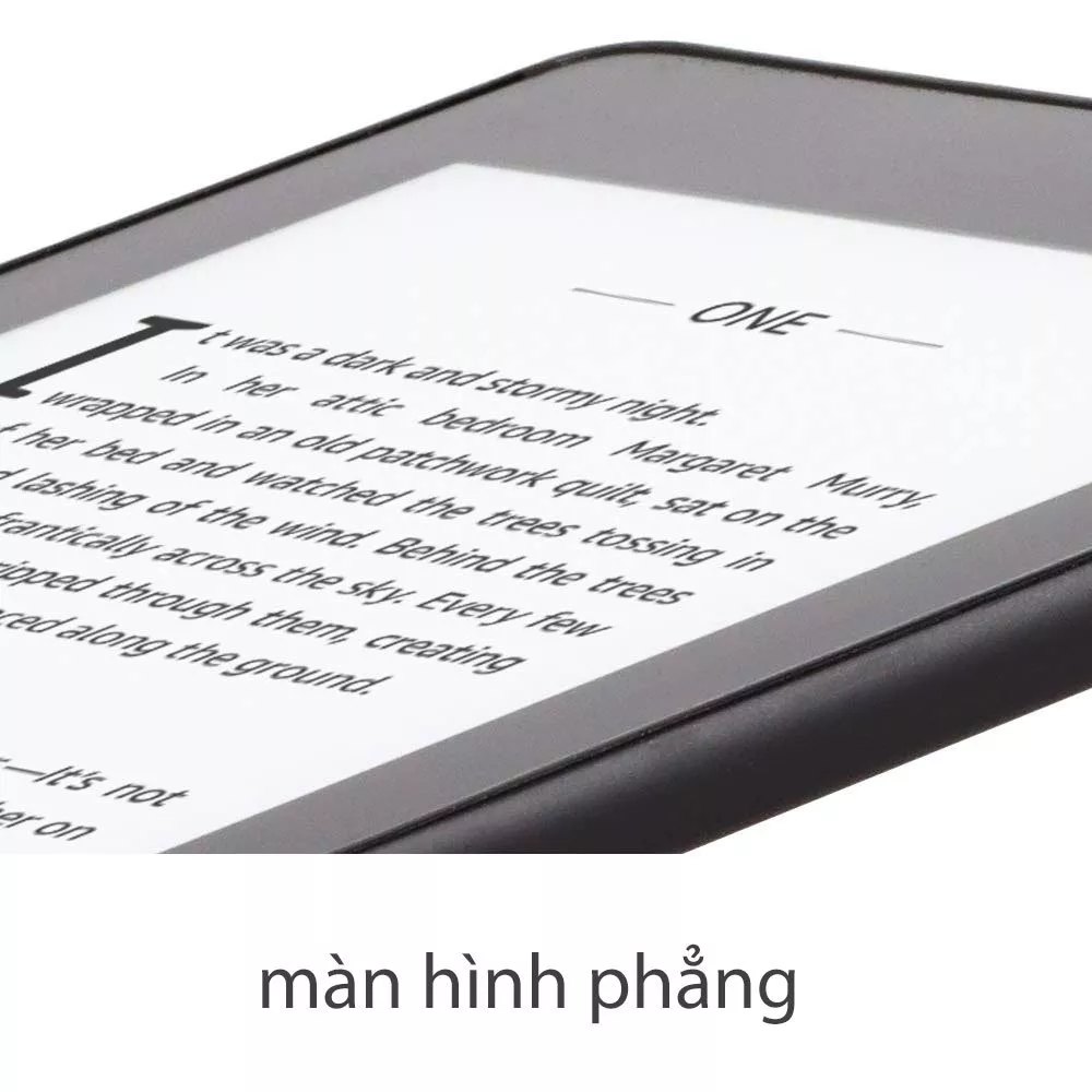 Kindle Paperwhite 4 (2020) 1